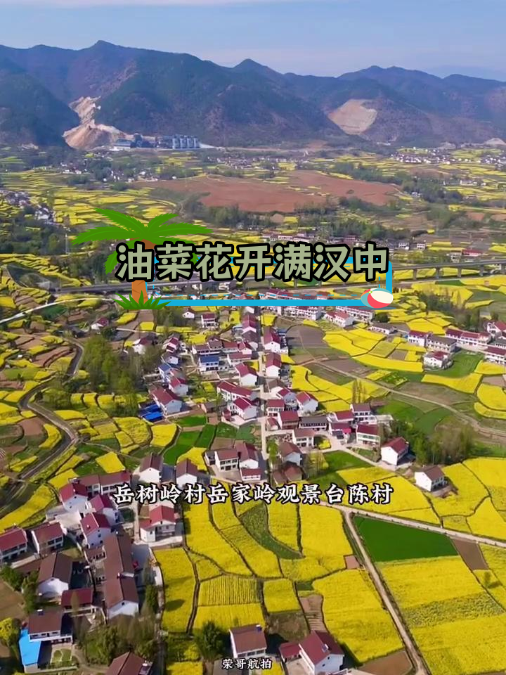 汉中油菜花海,金色世界等你来赏