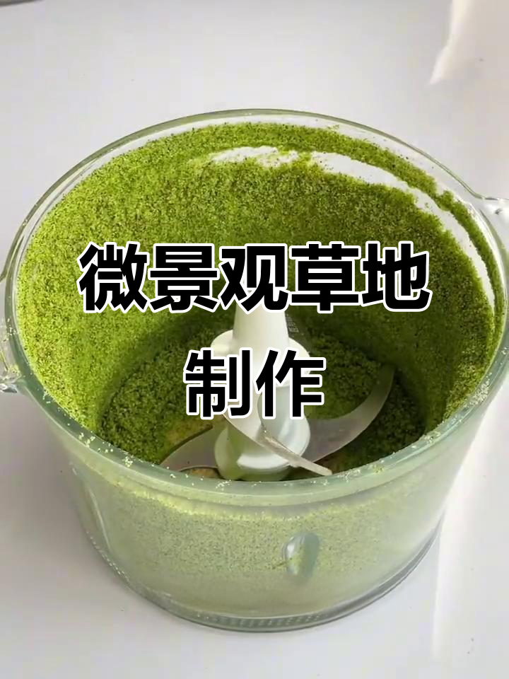 用全麦饼干和色素做微景观蛋糕草坪，简单又有趣！