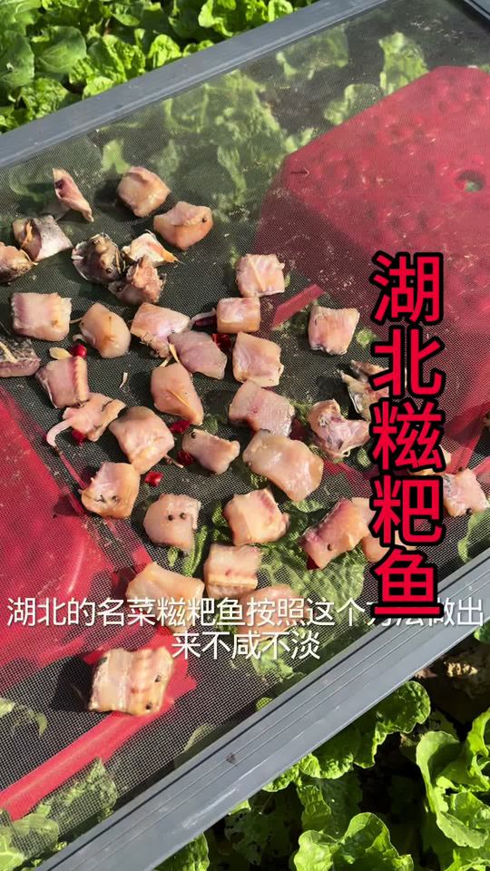 按此方法做湖北名菜糍粑鱼，好吃又下饭