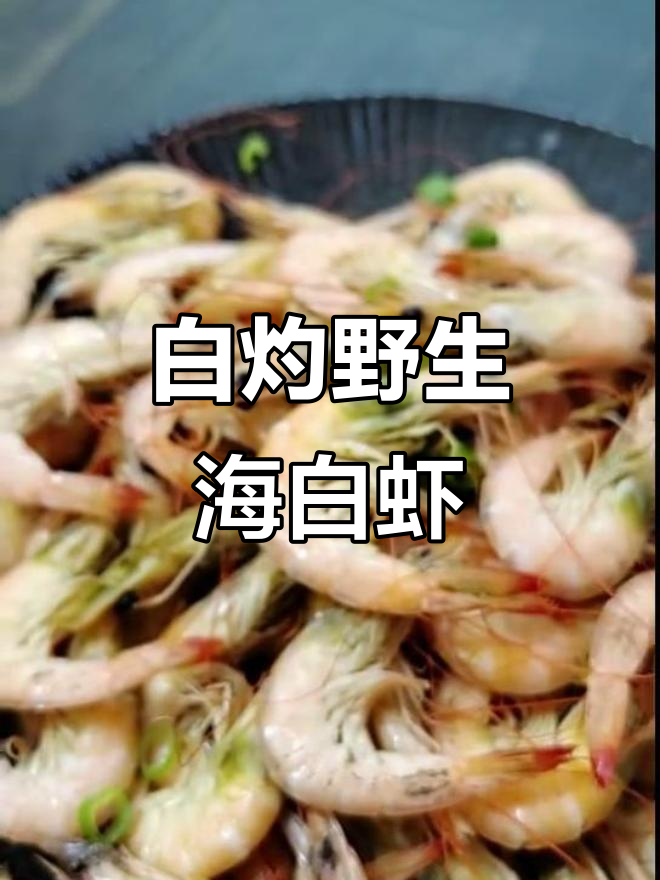 野生海白虾,简单白灼鲜美无比