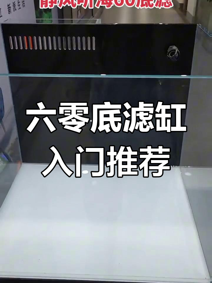 预算不高也能养海缸,六零底滤缸设计超实用