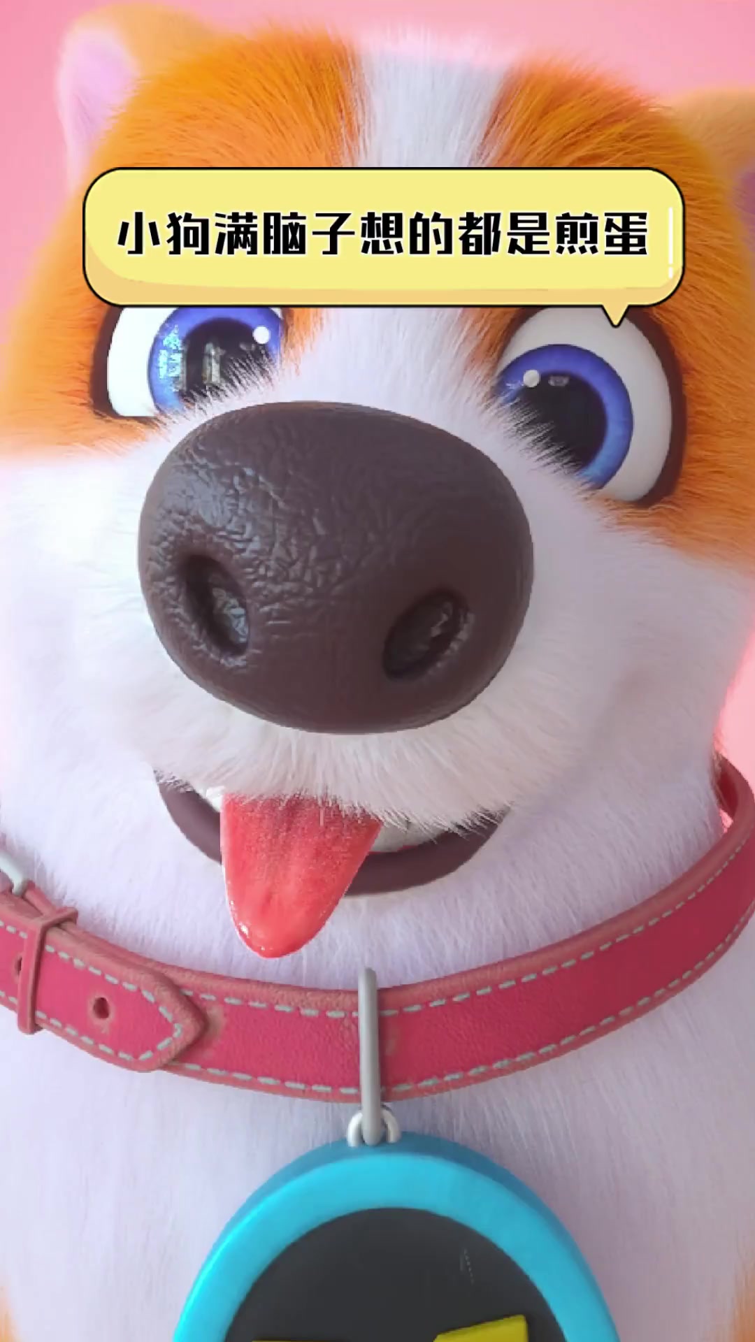 小狗满脑子想的都是煎蛋