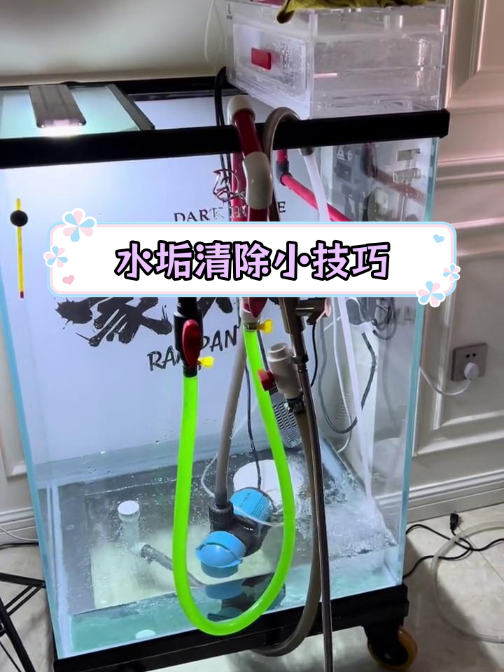 鱼缸水垢轻松去除,效果惊人