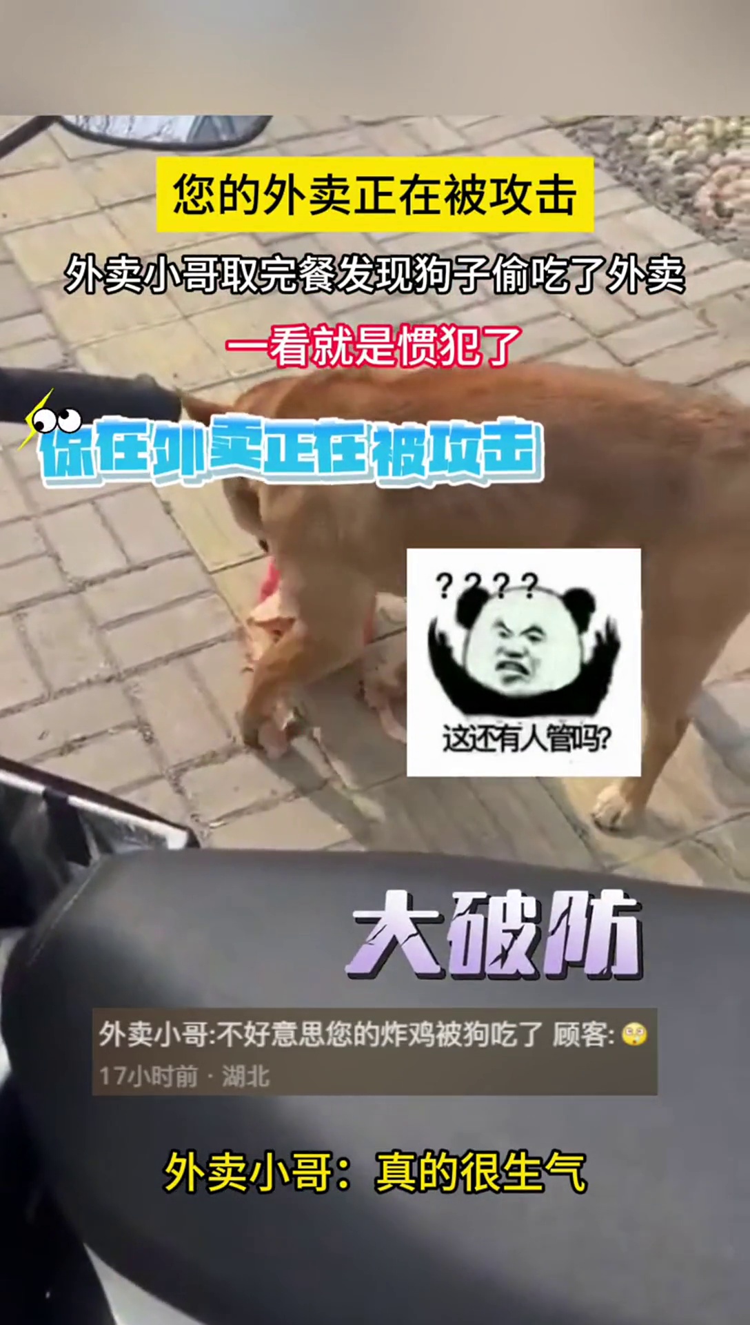 您的外卖正在被小狗攻击 素材来源:lxm01091688