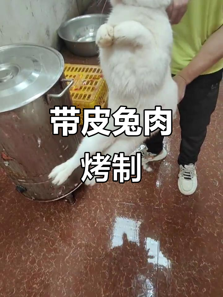 广西特色带皮兔肉,外焦里嫩的烤制美味
