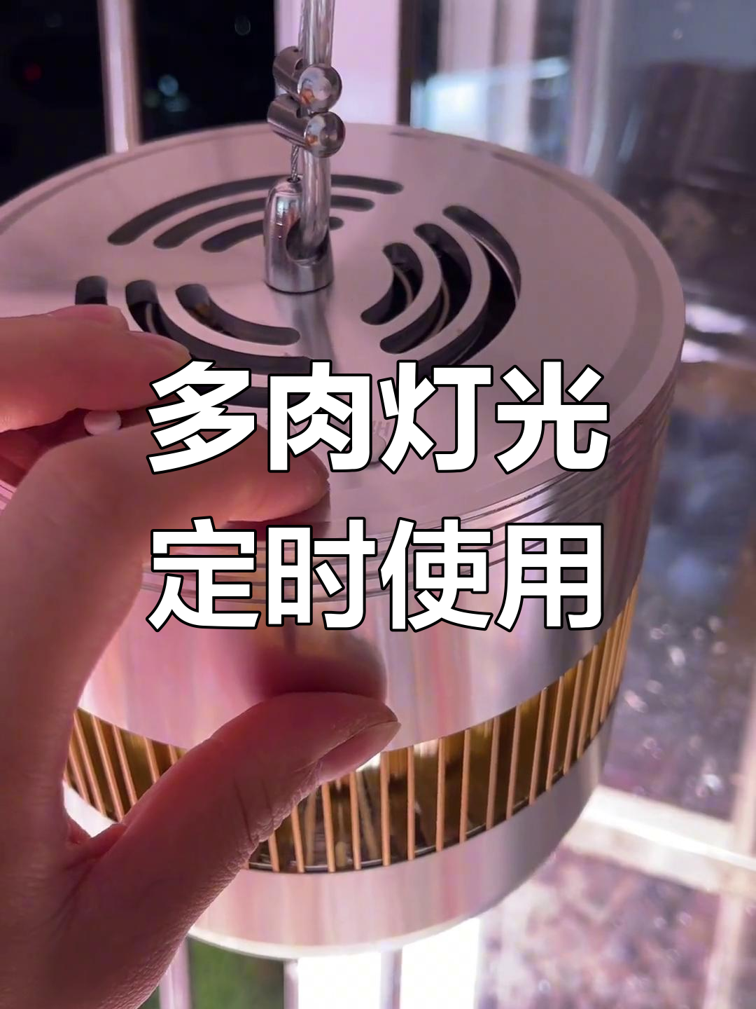 西施多肉补光灯定时功能设置教程