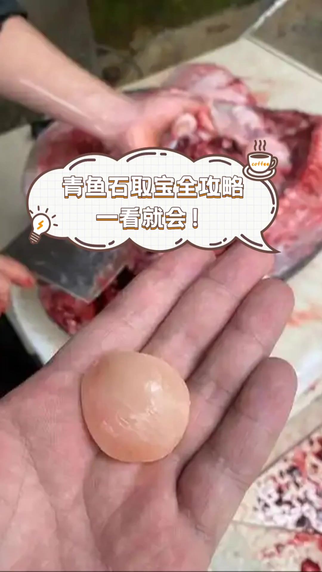 青鱼石取宝全攻略,一看就会!