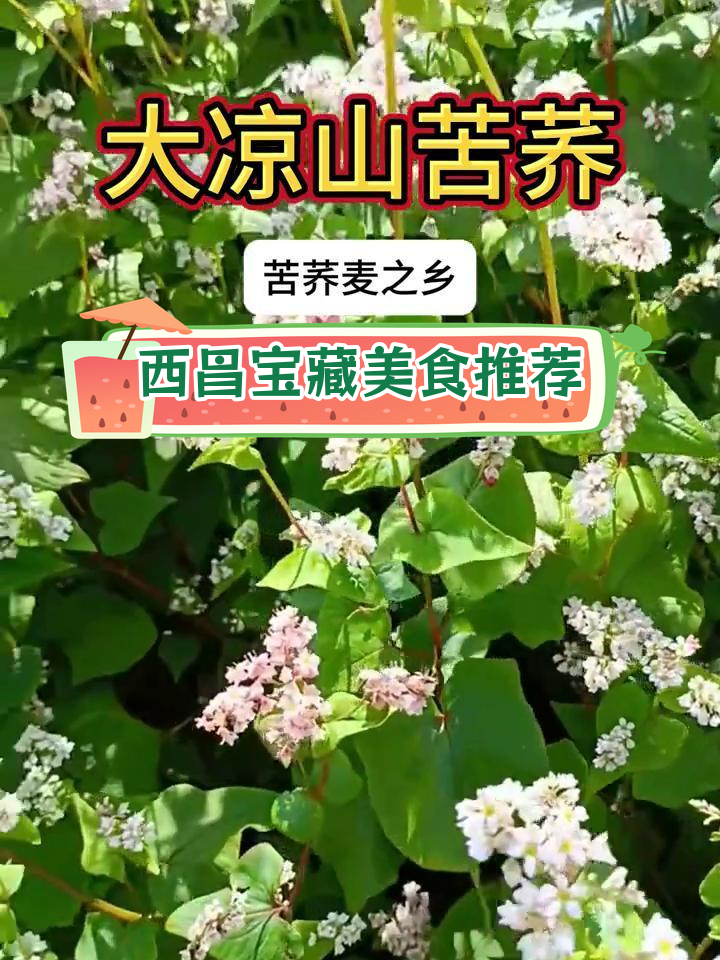 西昌十大特色美食,吃过都说好