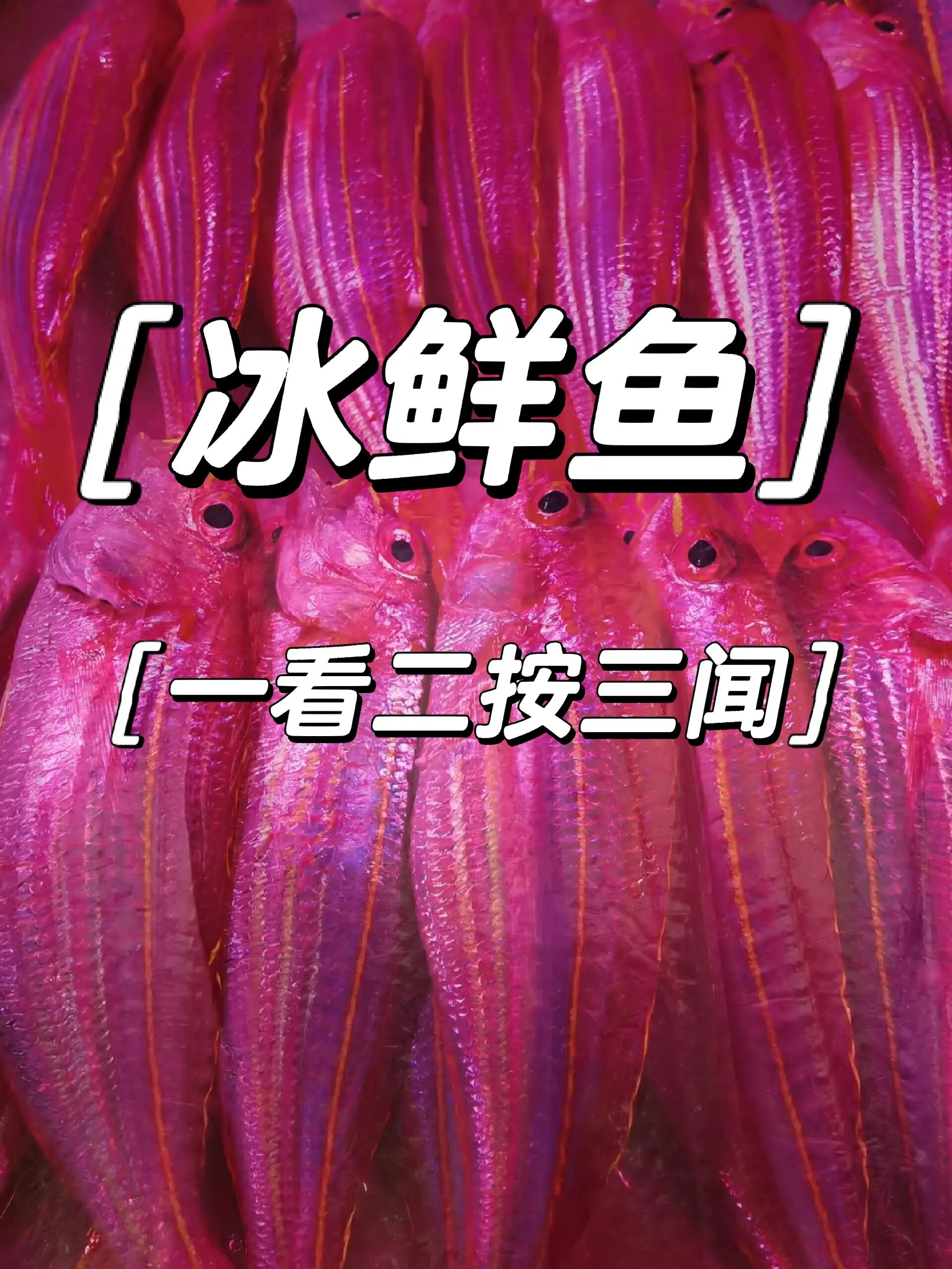 今天带大家怎么挑选冰鲜鱼 一看二按三闻