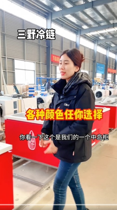 果脯蜜饯炒货柜,中岛制冷柜,各种颜色供您挑选