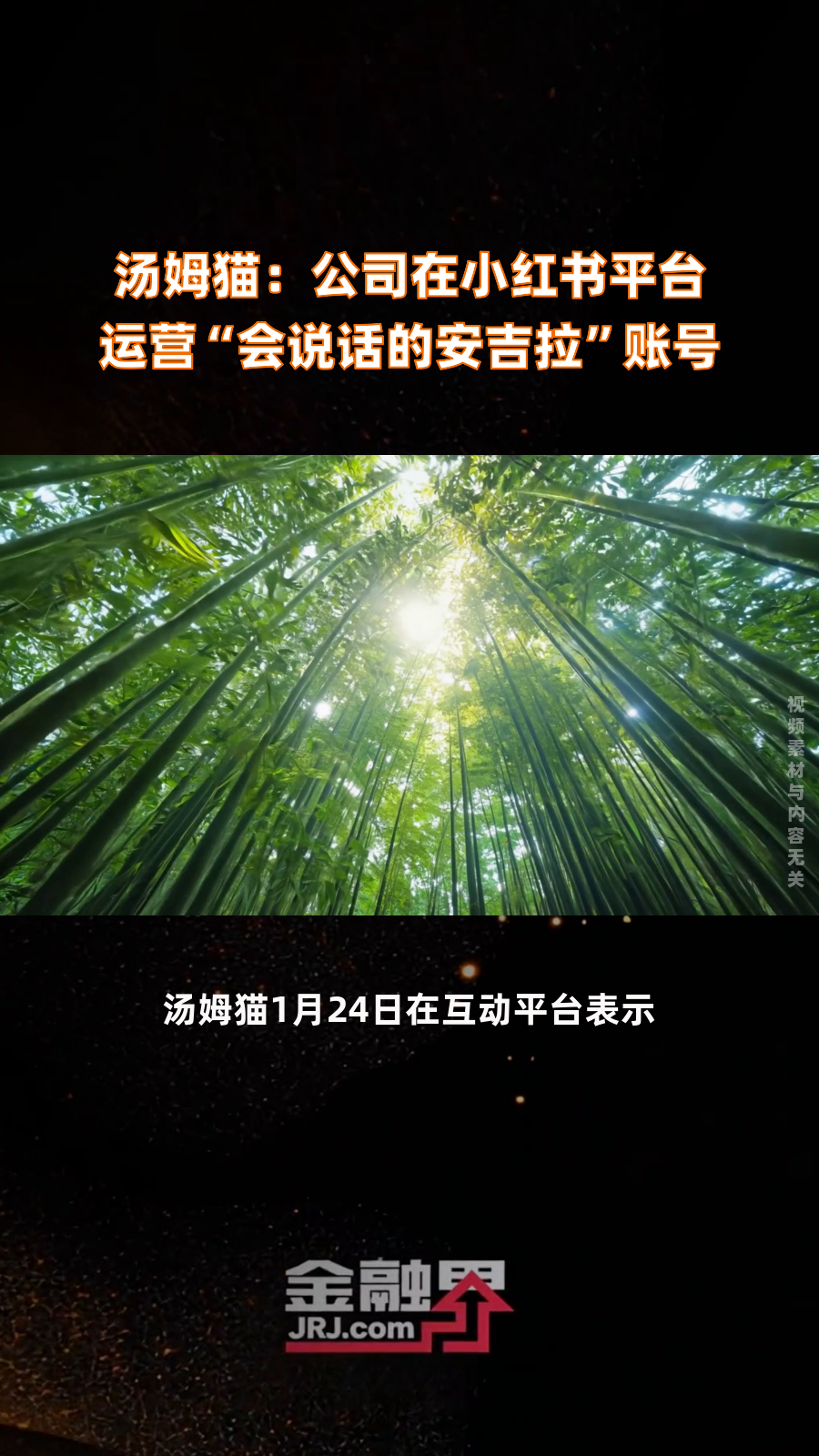 汤姆猫:公司在小红书平台运营“会说话的安吉拉”账号|快报