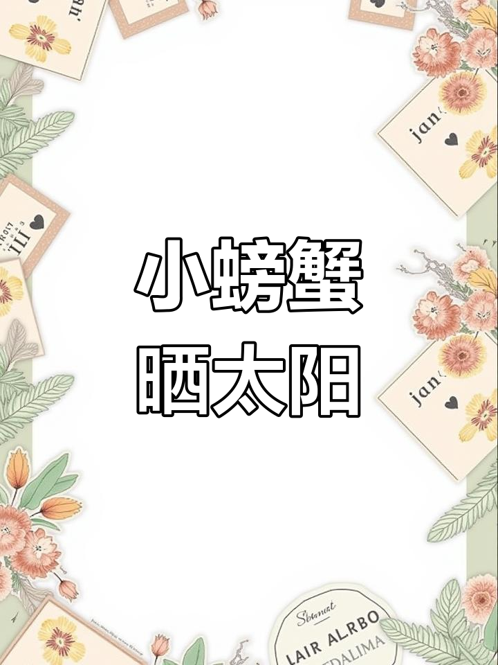 孤独小螃蟹的等待