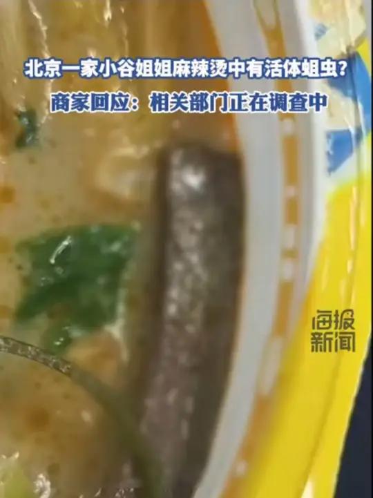 北京一家小谷姐姐麻辣烫中有活体蛆虫?商家回应:又煮又烫,虫子还是活的,我们也想弄清楚