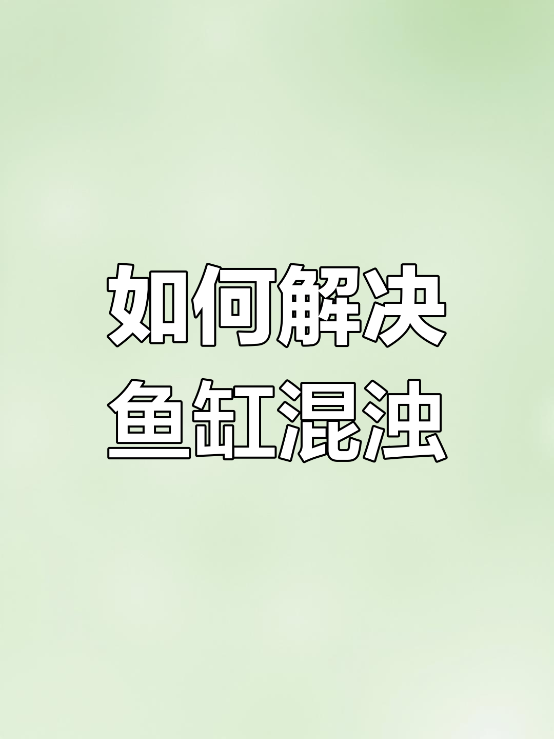 鱼缸水浑浊的原因及解决方法