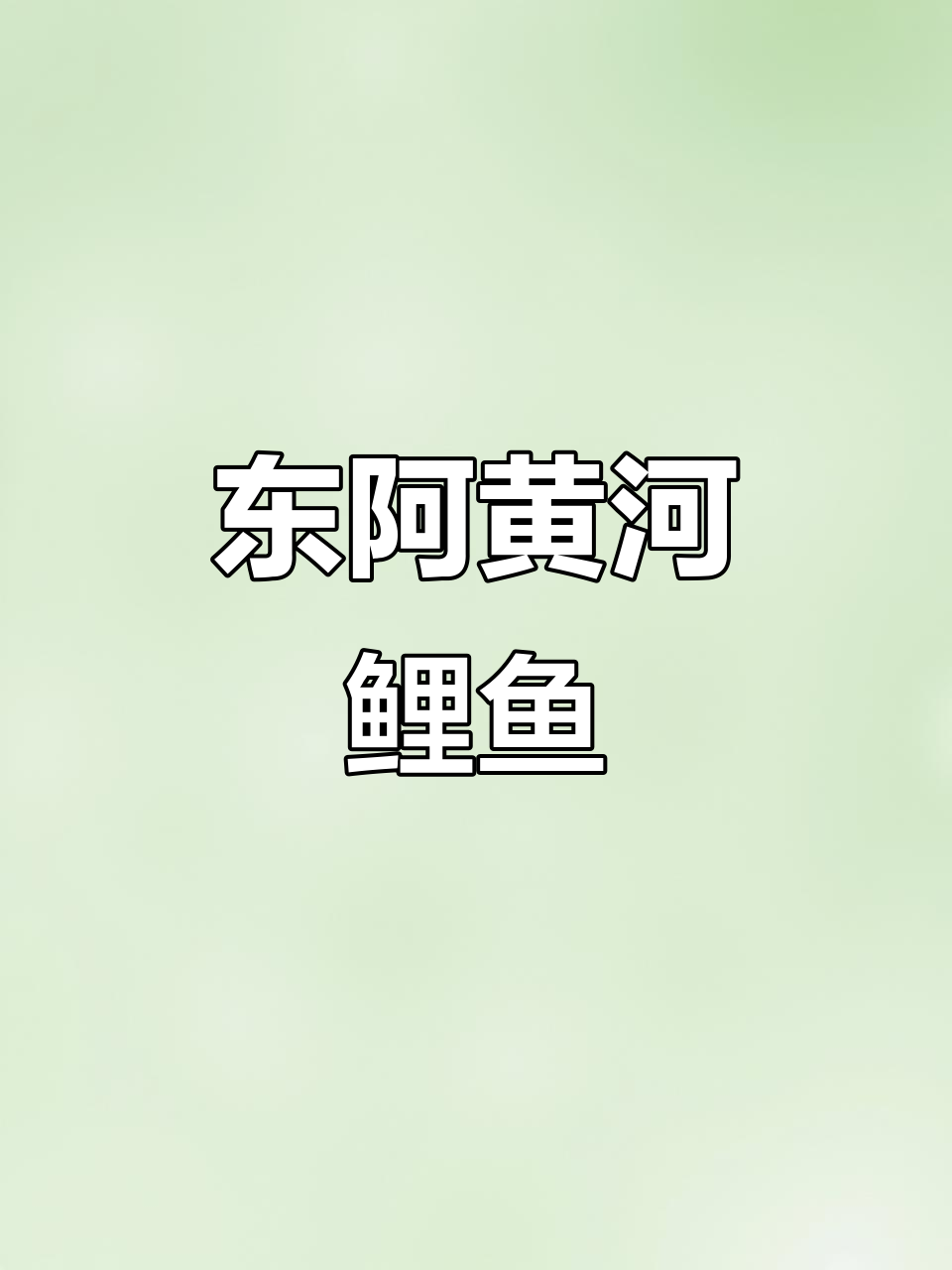 黄河鲤鱼：淡水中的西施，东阿特产的美味