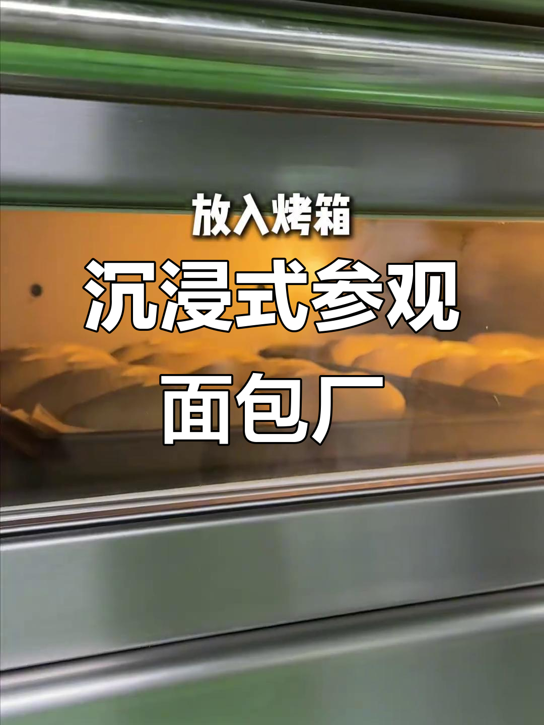 探秘2700平米面包工厂,体验烘焙的魅力与挑战