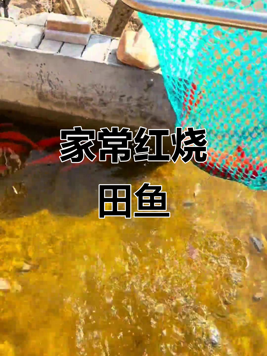 温州家烧田鱼,肉质细腻鲜美,家常做法大揭秘