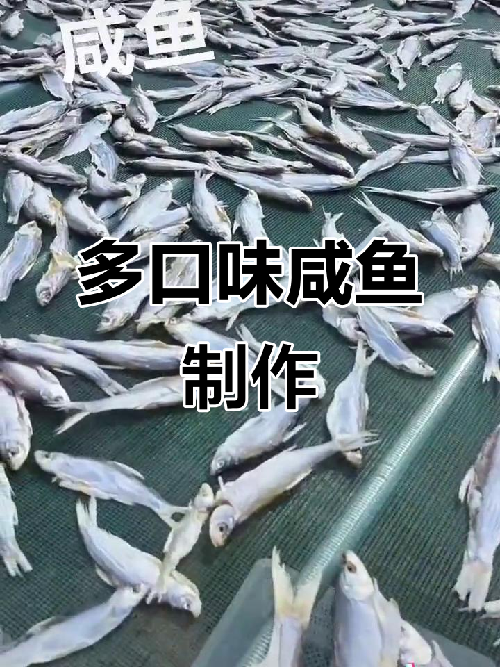 咸鱼做法大揭秘:油炸、清蒸、红烧、爆炒,口感一绝!