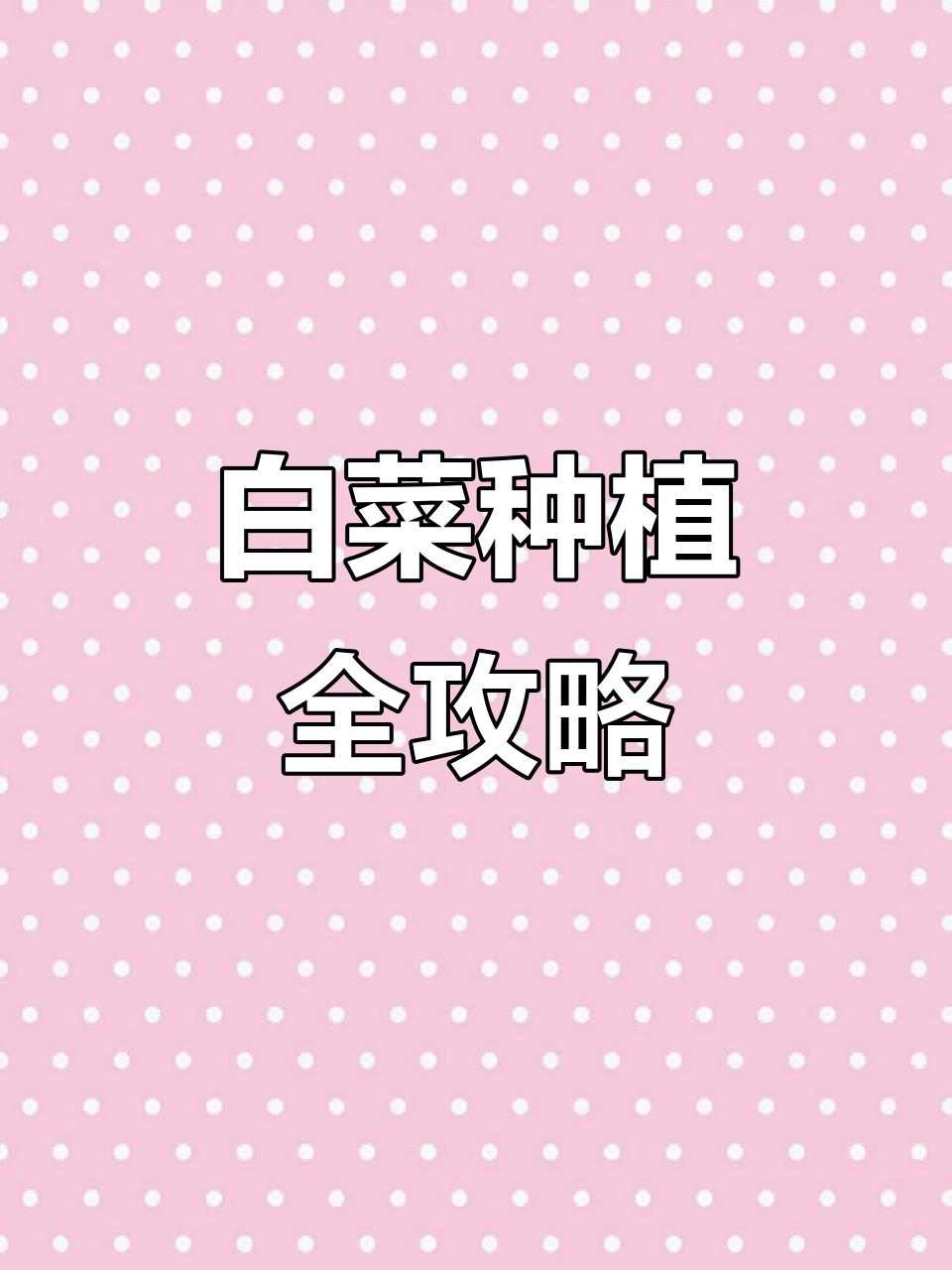 大白菜种植技巧:选对时机、种子和肥料,轻松丰收!