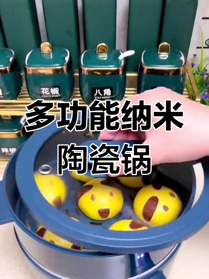 德国纳米陶瓷电煮锅,多功能一体设计