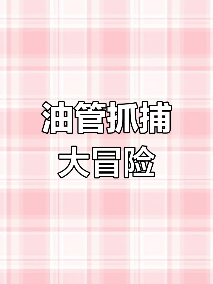 昨晚抓脂油管大作战,猪肉馆设计挑战!
