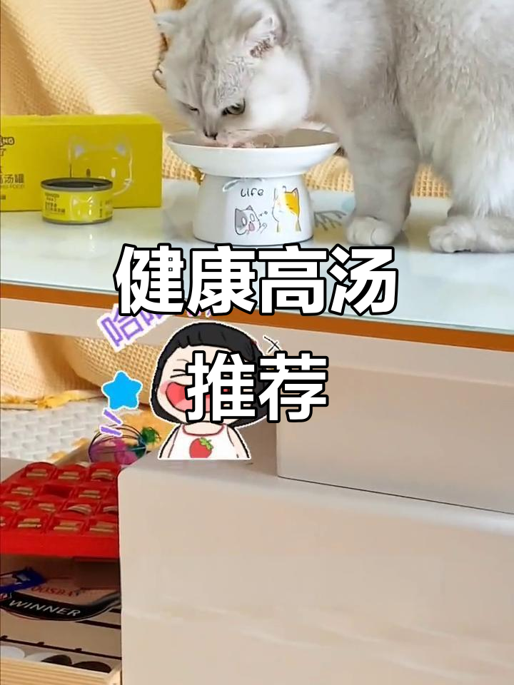 一天两罐高汤,肉质鲜美,补水又增重,无添加剂更健康