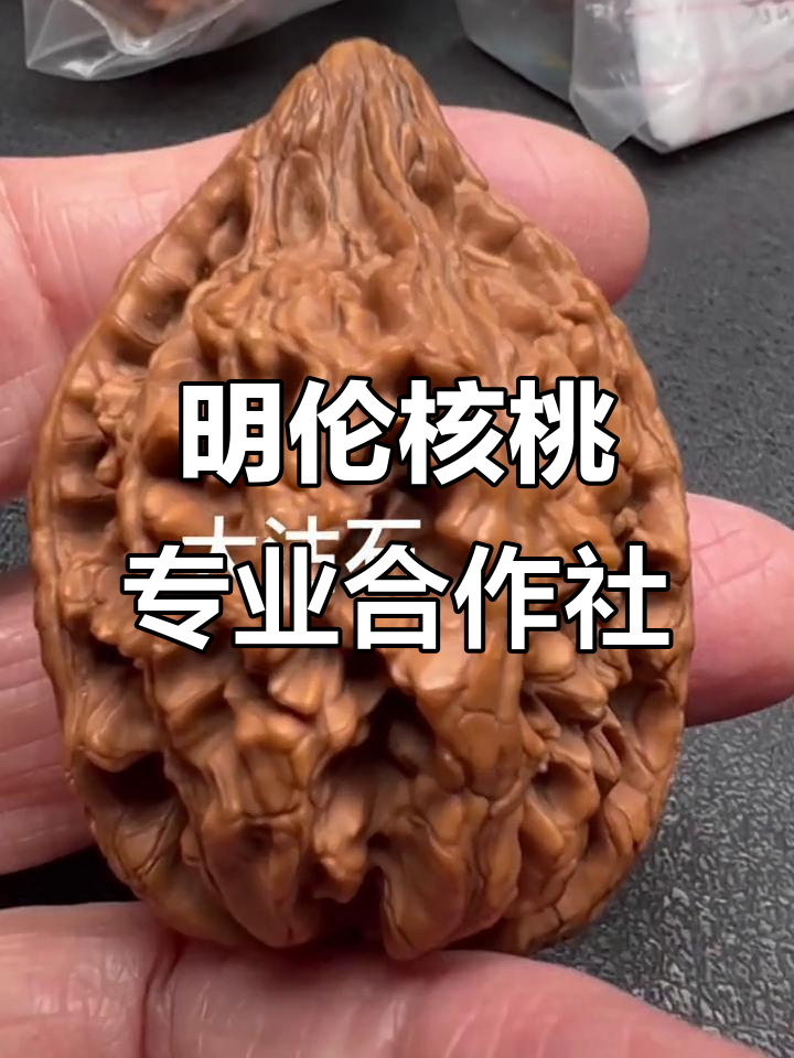 涞水县明伦核桃合作社:粗薄冷干,选好帽子