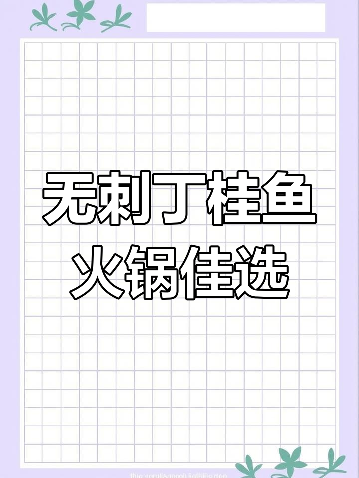 成都火锅必备!无刺丁桂鱼,营养丰富养殖周期短