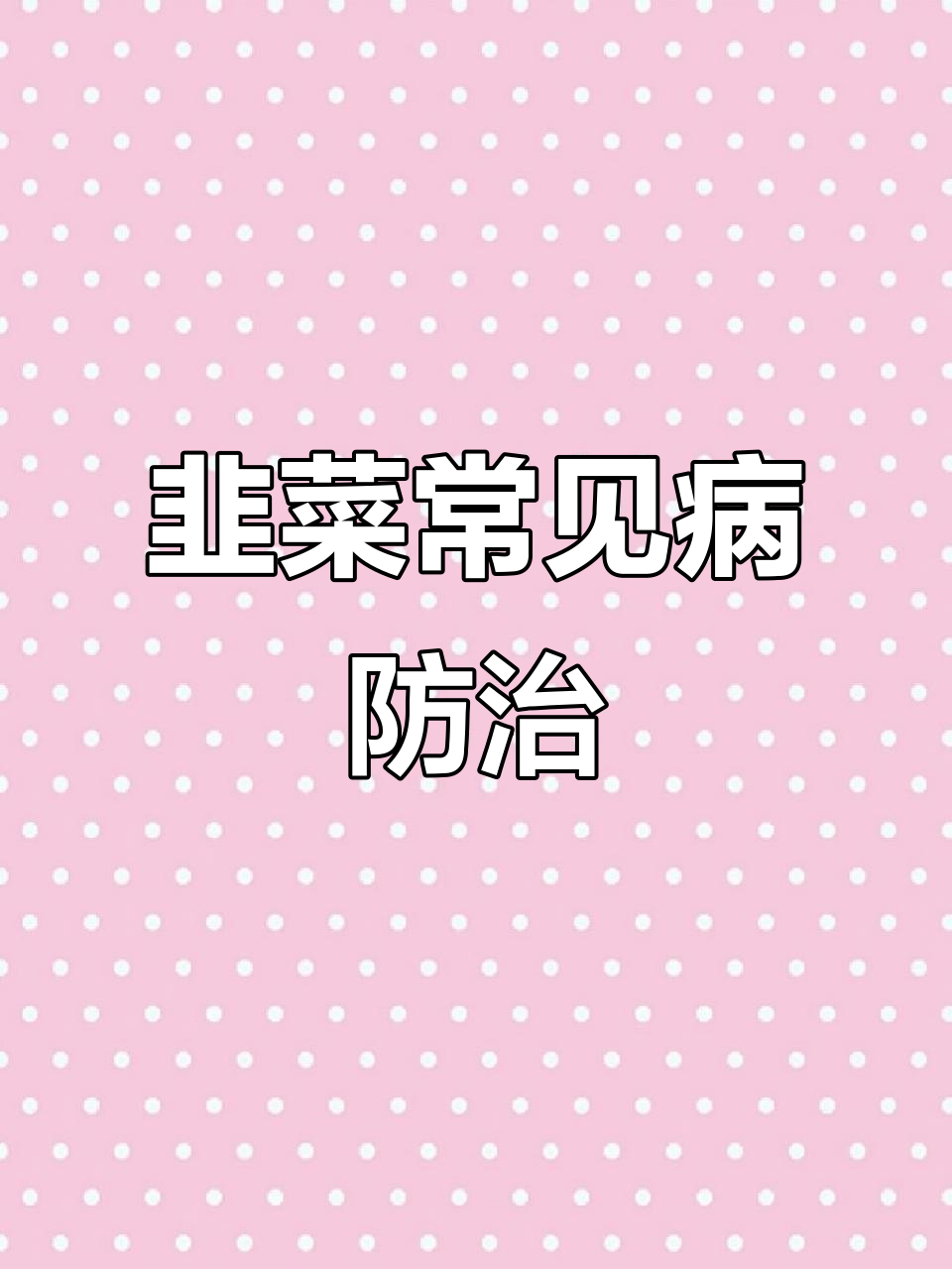 韭菜生长三大病害防治技巧，轻松提高产量