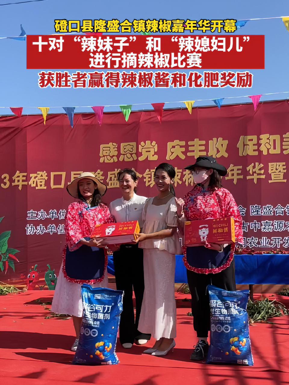 磴口县隆盛合镇辣椒嘉年华开幕,十对“辣妹子”和“辣媳妇儿”进行摘辣椒比赛,获胜者赢得辣椒酱