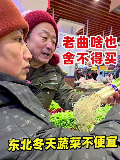 东北冬菜不应季，老曲舍不得买惹四丫气
