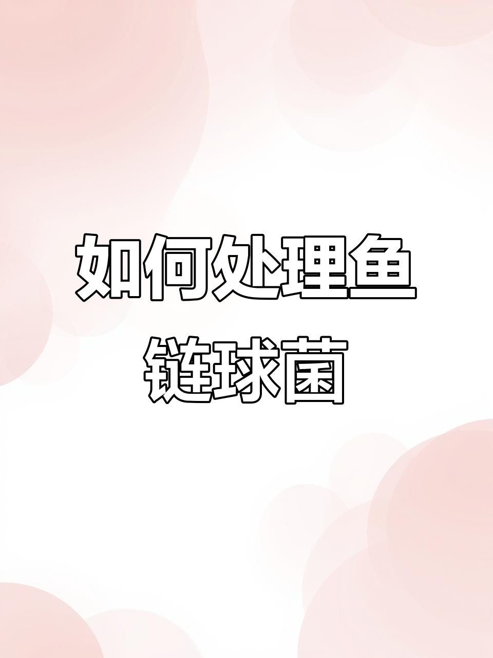 鱼链球菌感染怎么办?了解应对方法