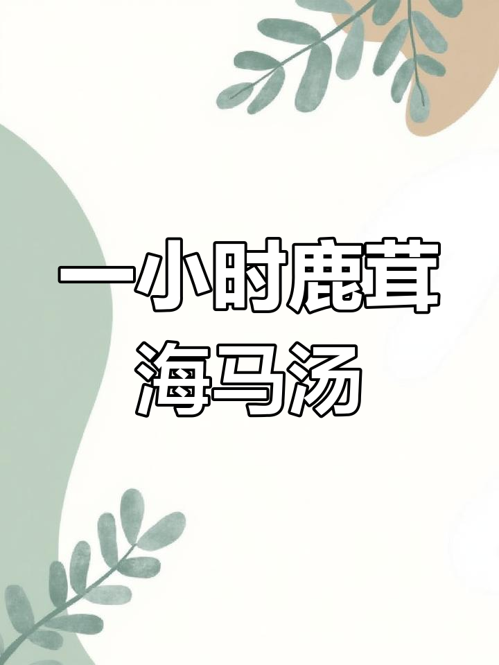 鹿茸海马炖汤,1小时搞定美味滋补