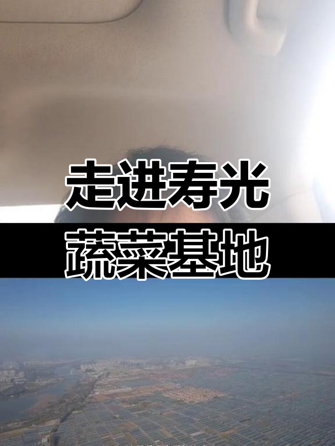 探访山东寿光:蔬菜之乡的智能大棚与价格晴雨表