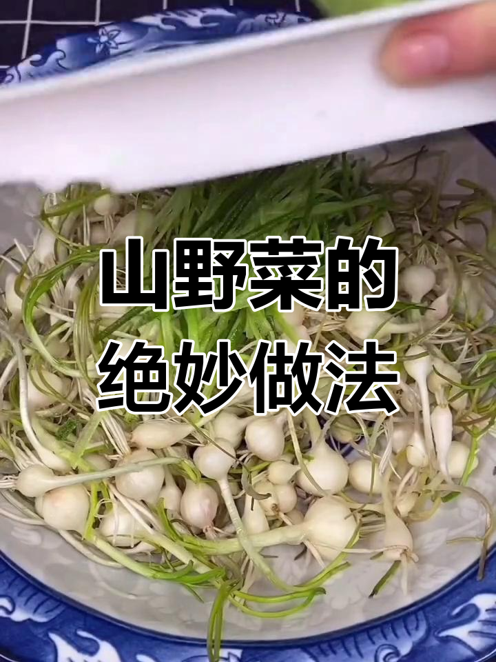 春季野菜大餐,荞麦蒜与青萝卜的完美搭配