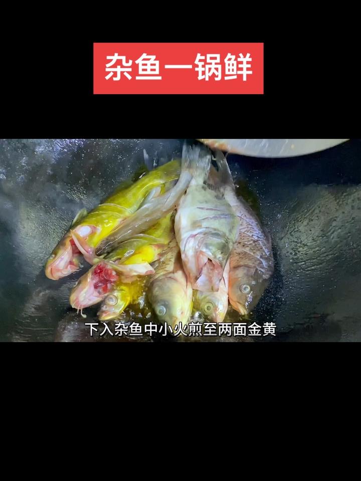 杂鱼一锅鲜简单的家常做法,做出来肉质细嫩