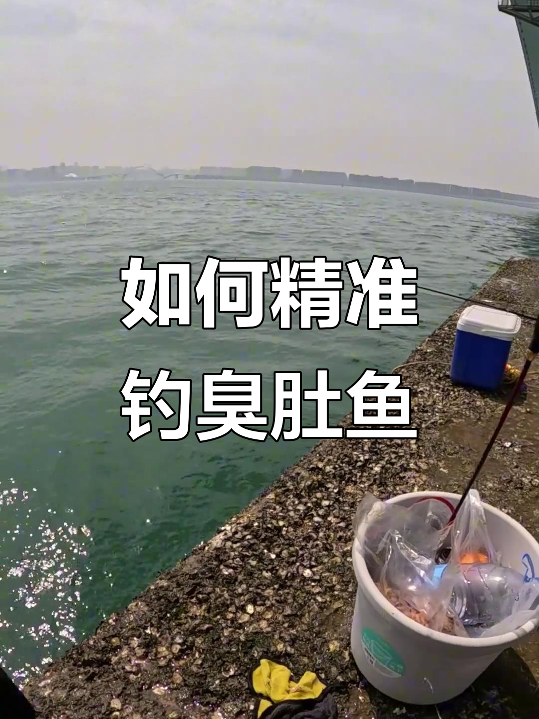 钓臭肚鱼技巧大揭秘,找准水层狂拉不停!