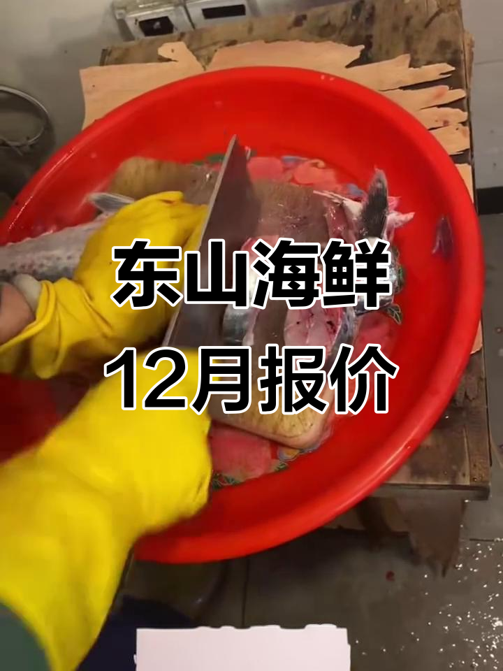 12月15日福建东山海鲜市场:软丝鱿鱼等价格一览