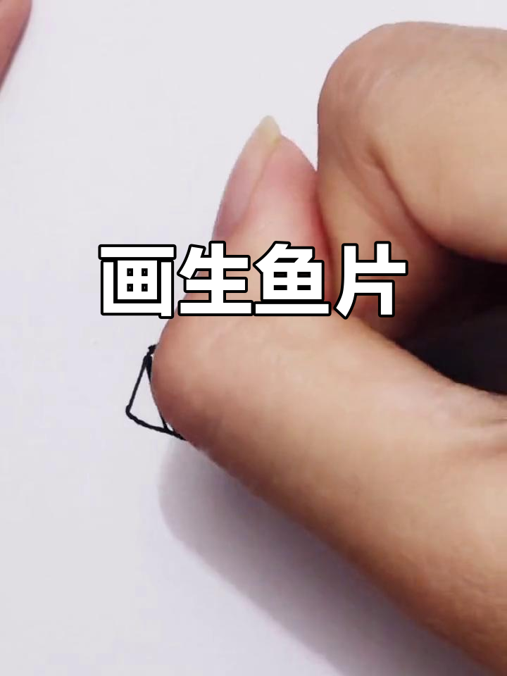 生鱼片简笔画教程