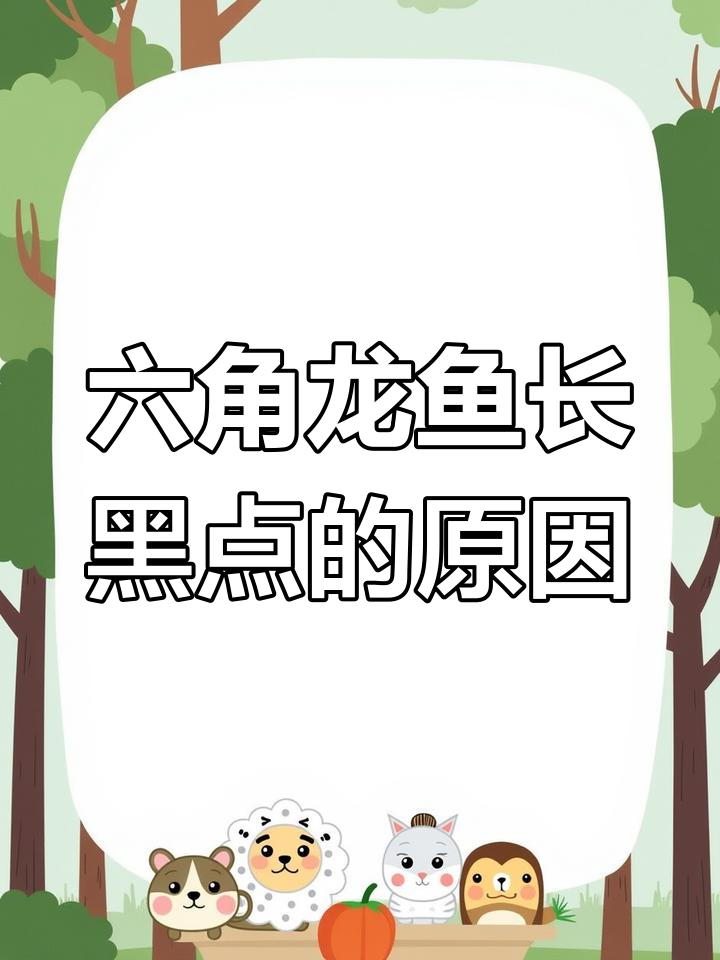 粉色六角恐龙鱼身上突然出现黑点,原因竟是这种问题
