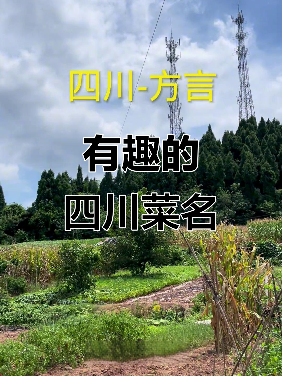 四川方言里的那些有趣菜名,看看你能猜对几个?