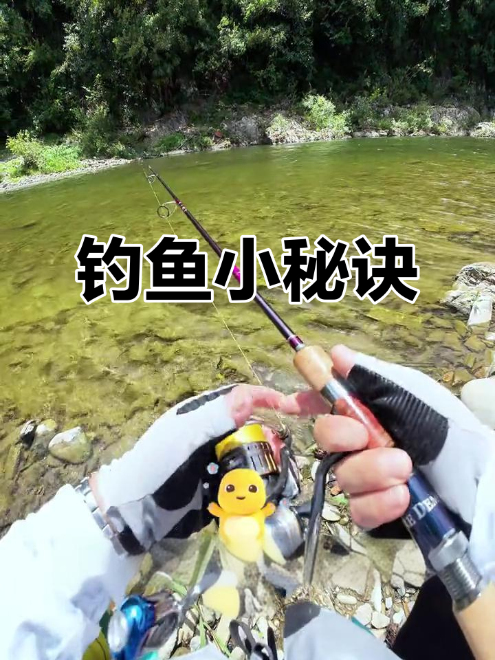 钓军鱼有诀窍,选对饵料和抛投技巧,轻松上手!