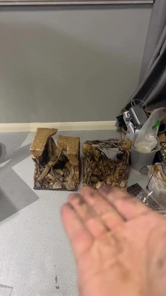 小米鱼缸 打造不一样的造景