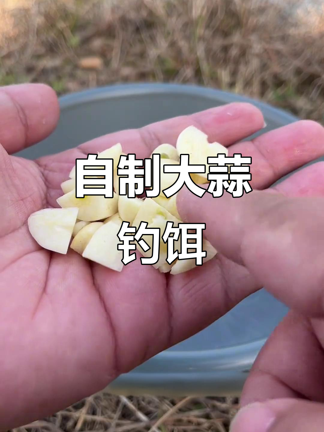 大蒜、味精、红糖搭配,鲤鱼草鱼最爱吃的钓鱼饵料