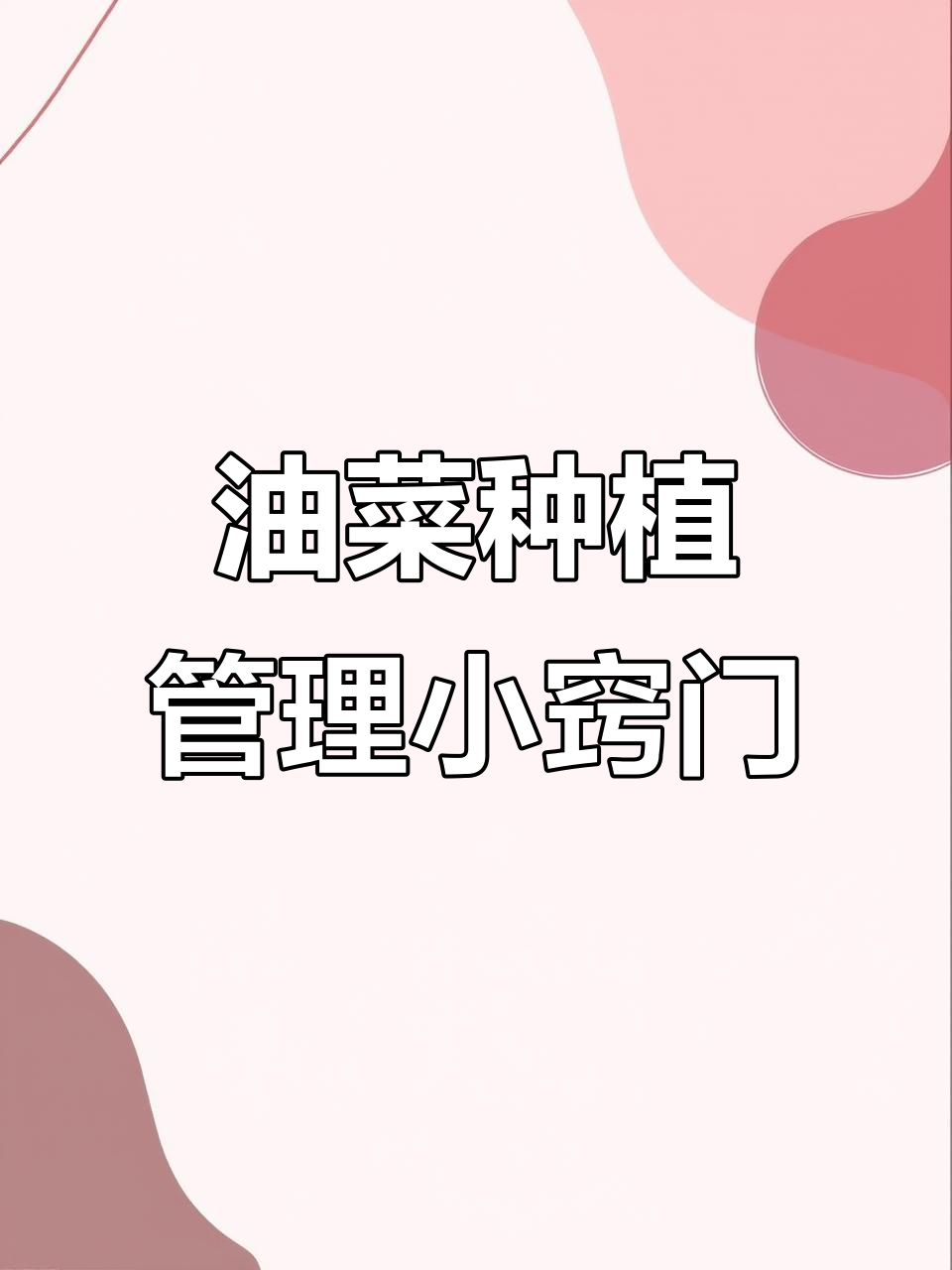 油菜苗出十五天,打药技巧大揭秘!