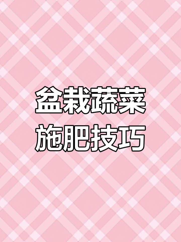 盆栽蔬菜需定期施肥,每次少量,保持养分均衡