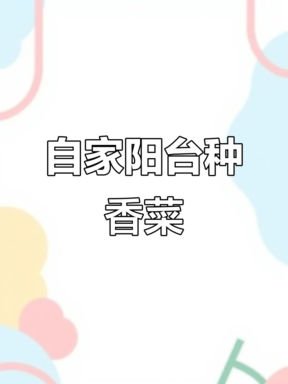 阳台种香菜,简单步骤教你轻松搞定