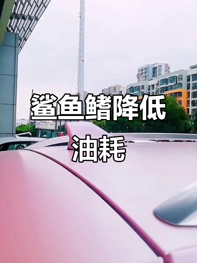鲨鱼鳍的隐藏作用,高速行驶更省油