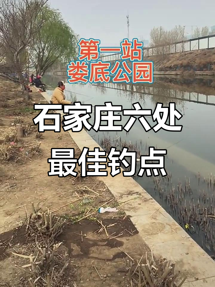 石家庄六大钓点大揭秘,钓鱼高手必看!