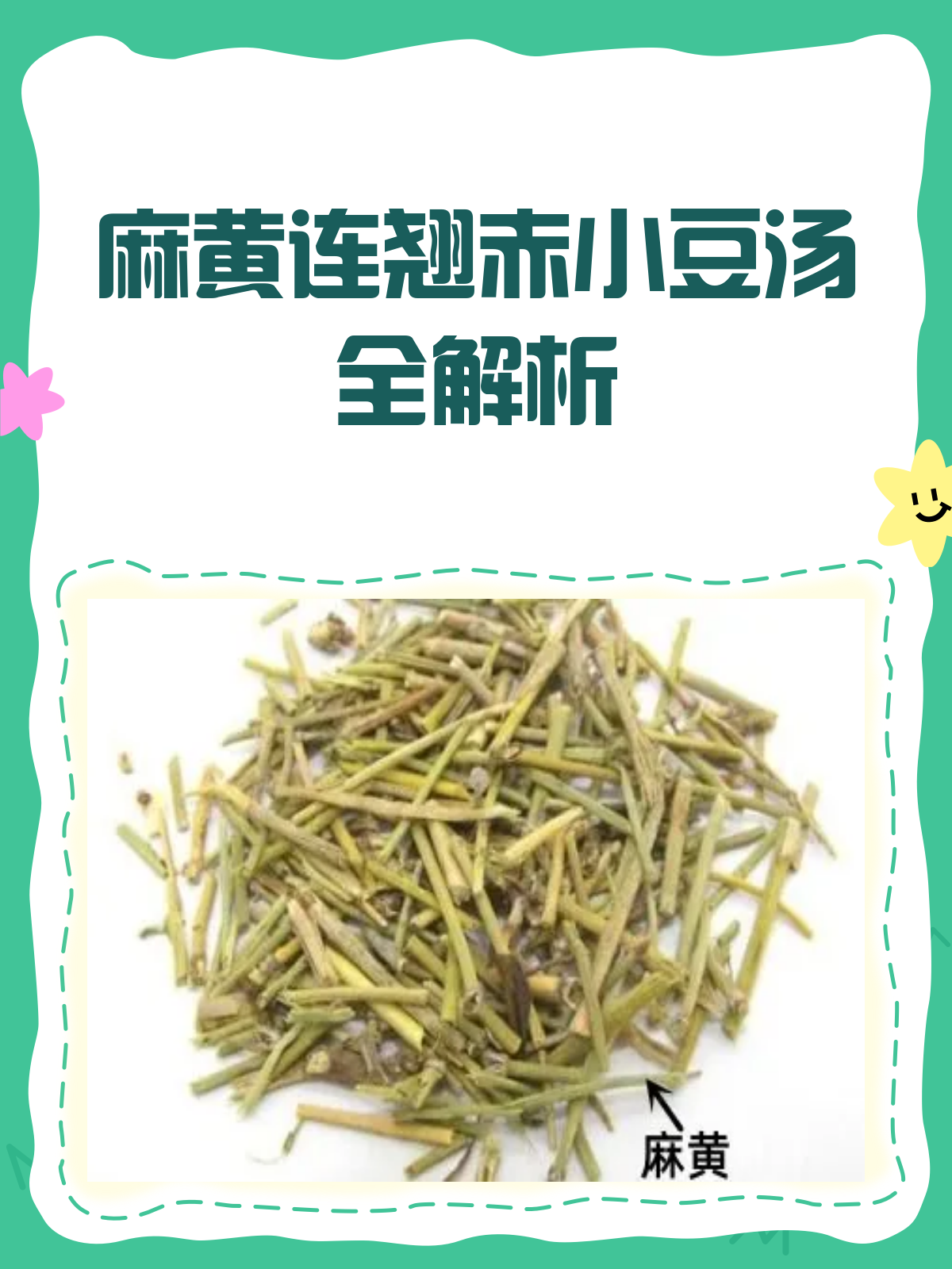 麻黄连翘赤小豆汤,一剂多效的中药良方!